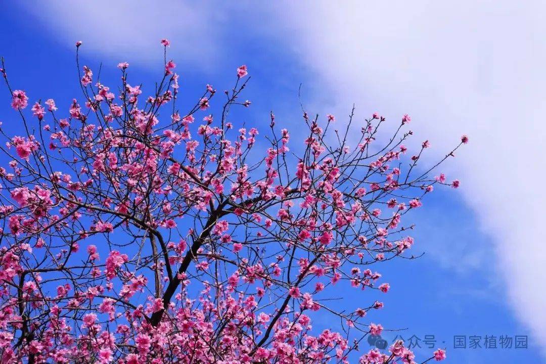 1日 京城事儿全知道AG旗舰厅app4月(图17)
